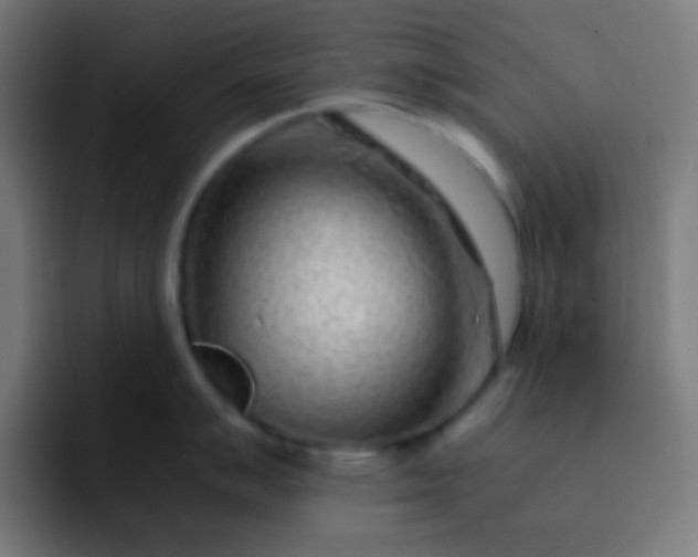 X0000093231007200710101400