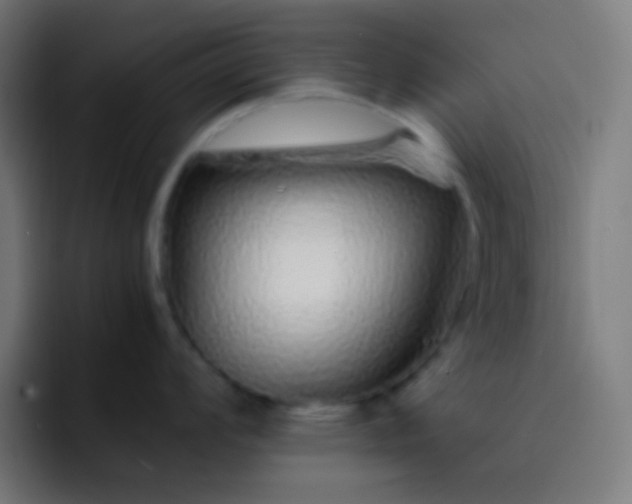 X0000093231008200710101400