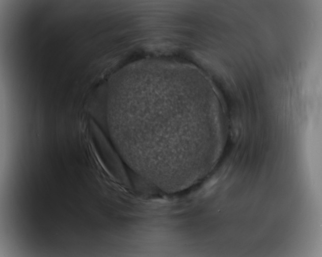 X0000093231010200710101359