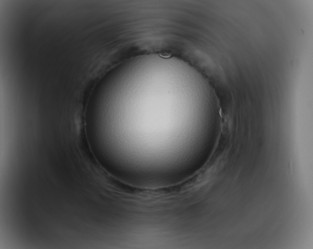 X0000093231012200710101359