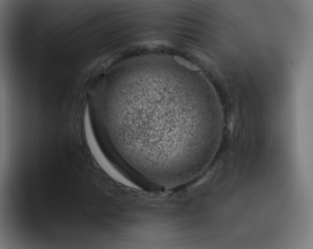 X0000093231014200710101359