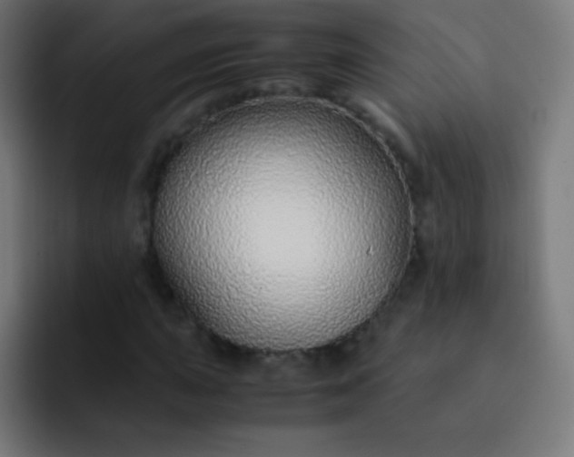 X0000093231015200710101400