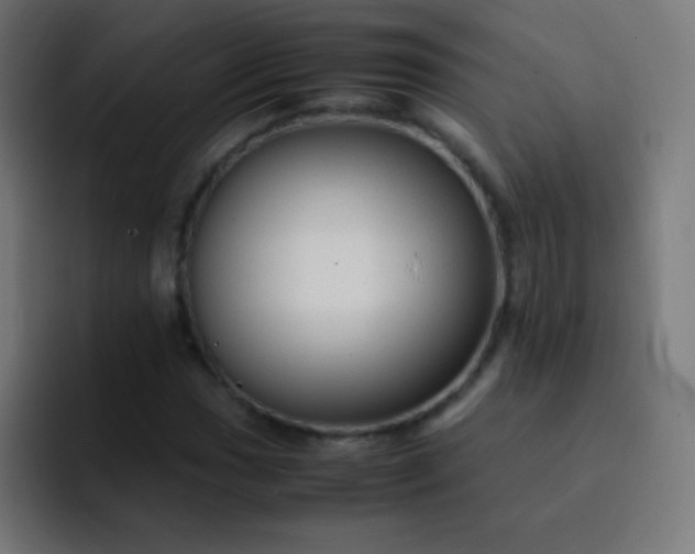 X0000093231017200710101400