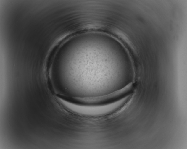 X0000093231018200710101400