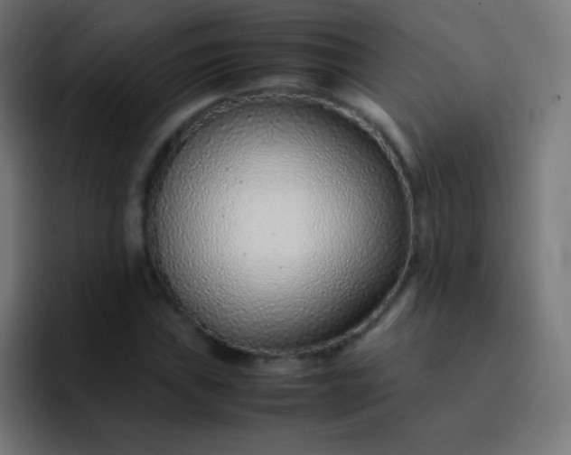 X0000093231019200710101400