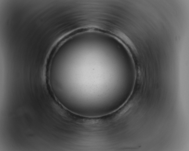 X0000093231020200710101400