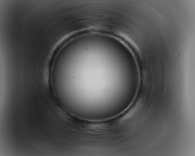 X0000093231021200710101400