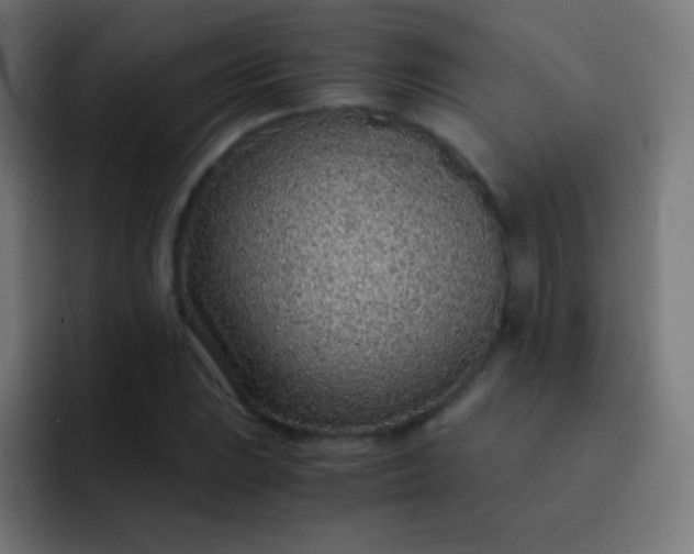 X0000093231023200710101400