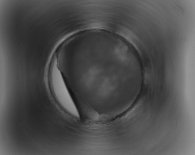 X0000093231024200710101400