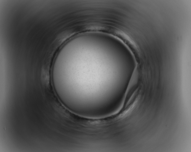 X0000093231025200710101400