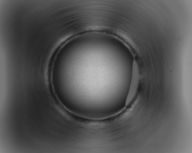 X0000093231026200710101400