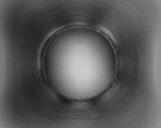 X0000093231027200710101400