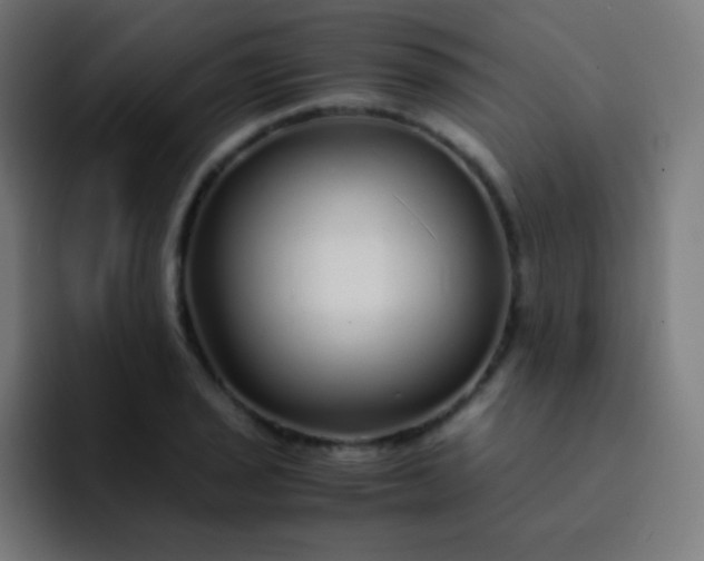 X0000093231029200710101400