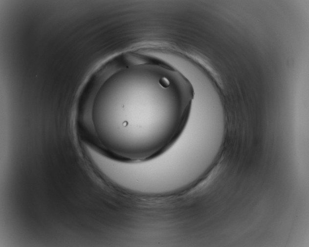 X0000093231030200710101400