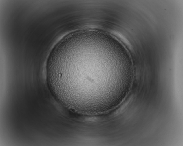 X0000093231031200710101400