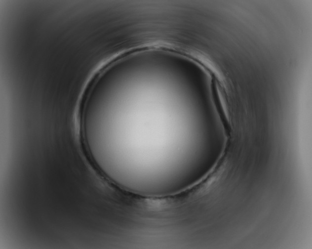 X0000093231032200710101400