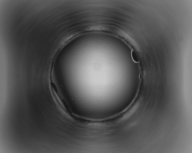 X0000093231033200710101400