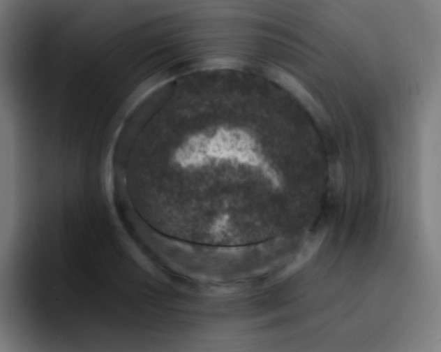 X0000093231034200710101400