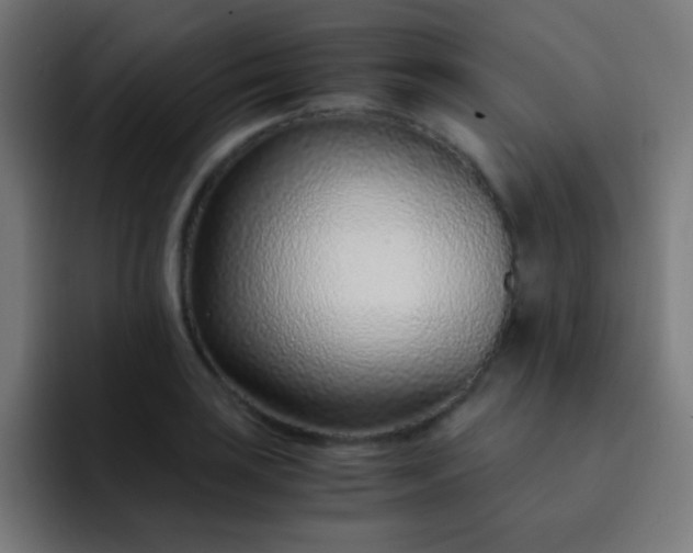 X0000093231035200710101400