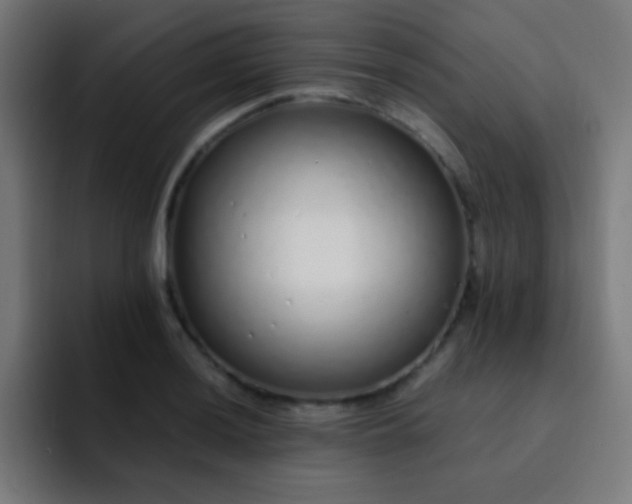 X0000093231036200710101400