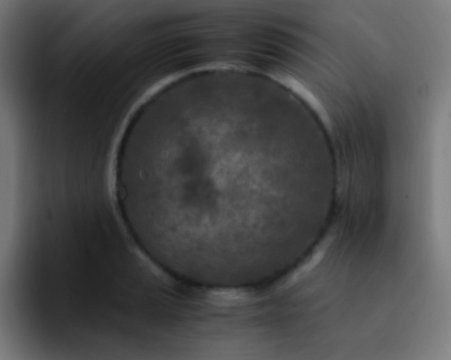 X0000093231037200710101400