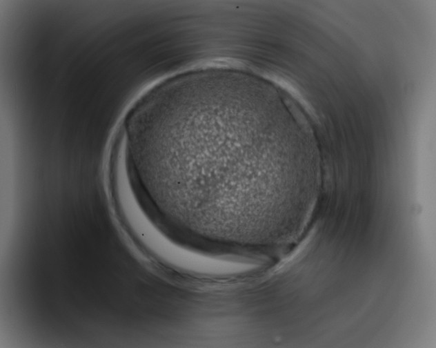 X0000093231038200710101400