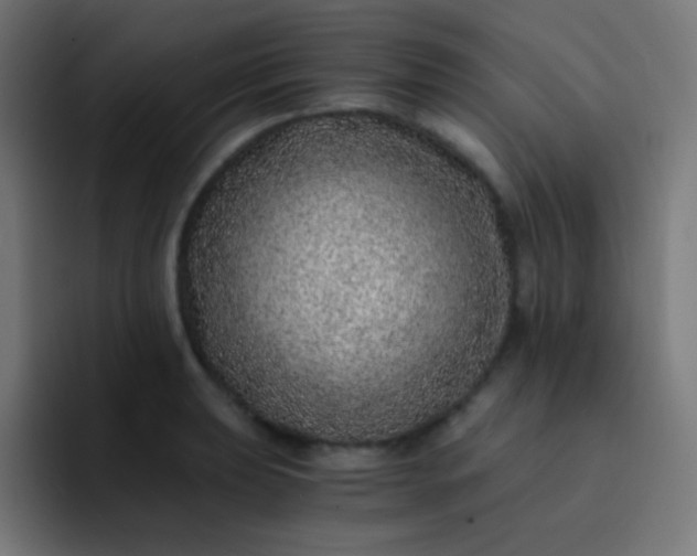 X0000093231039200710101400