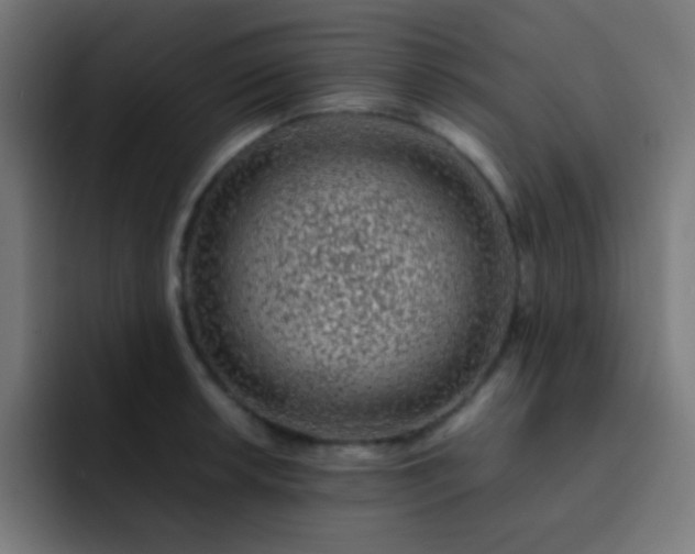 X0000093231042200710101400