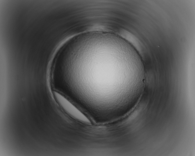 X0000093231043200710101400