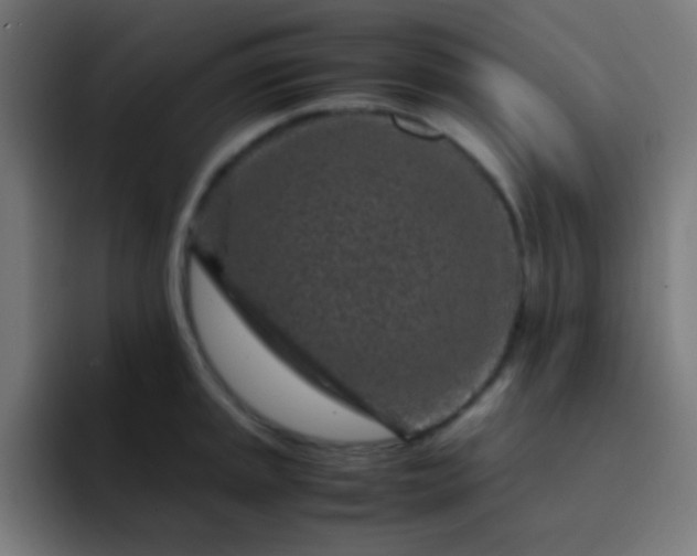 X0000093231045200710101400