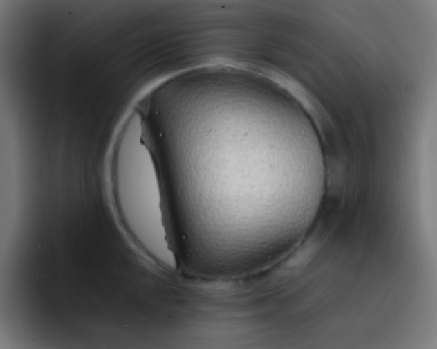 X0000093231048200710101400