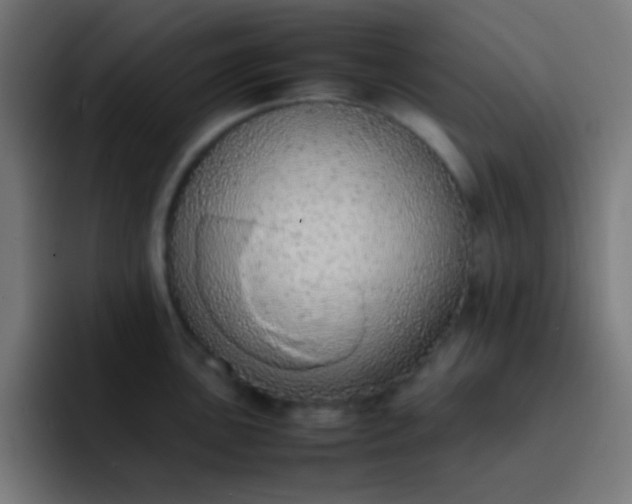 X0000093231051200710101400