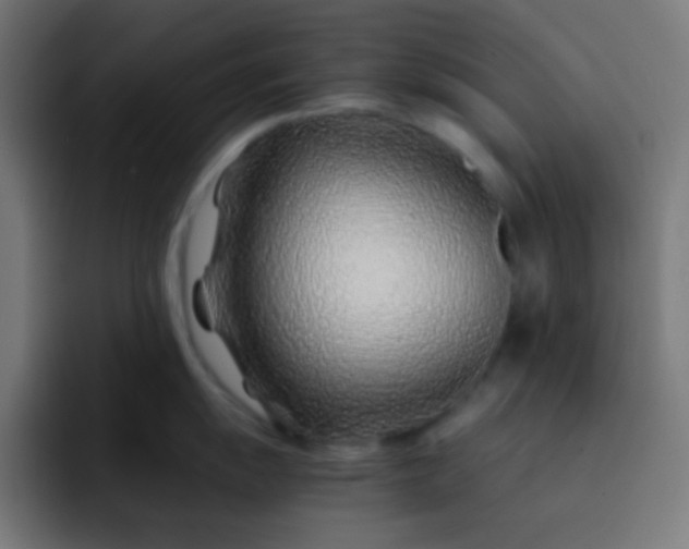 X0000093231055200710101400