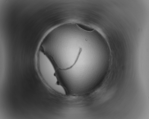 X0000093231056200710101400