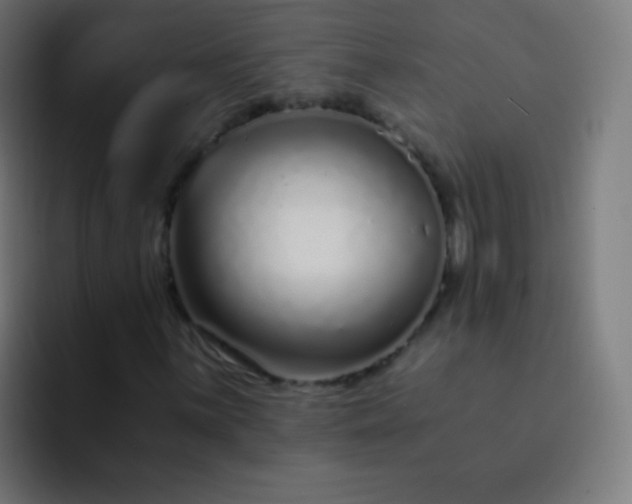 X0000093231059200710101359