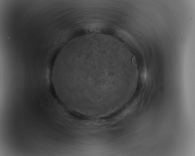 X0000093231060200710101359