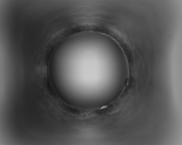 X0000093231061200710101359