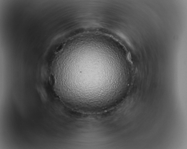 X0000093231063200710101359