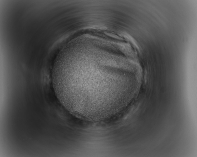 X0000093231064200710101359