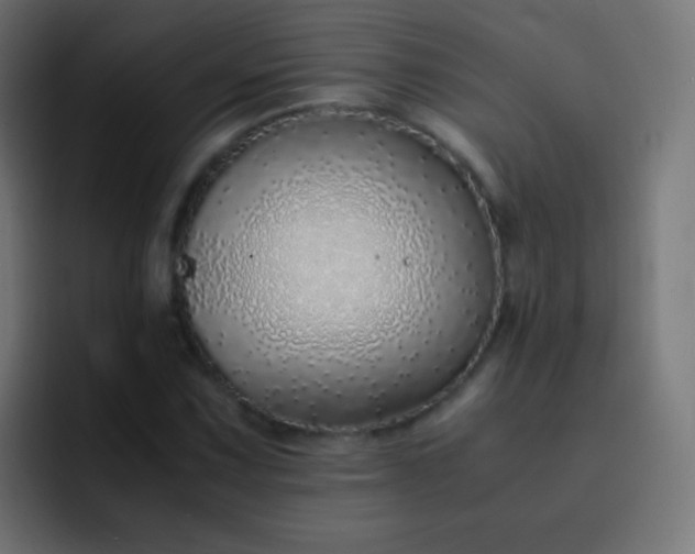 X0000093231067200710101359