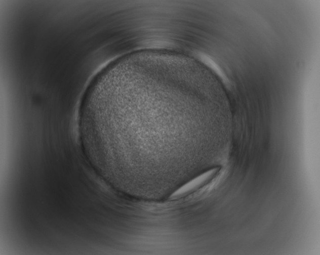 X0000093231071200710101359