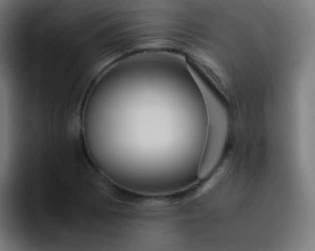 X0000093231073200710101359