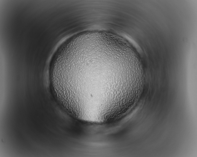 X0000093231075200710101359