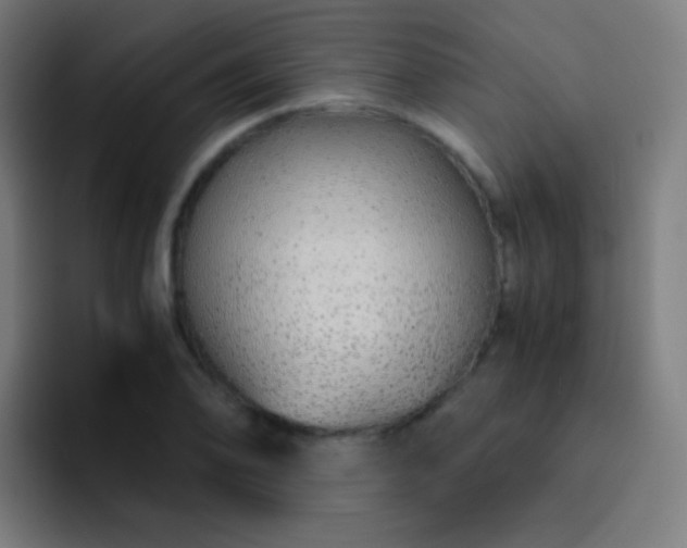 X0000093231078200710101359