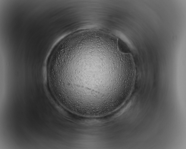 X0000093231079200710101359