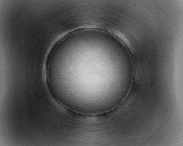 X0000093231080200710101359