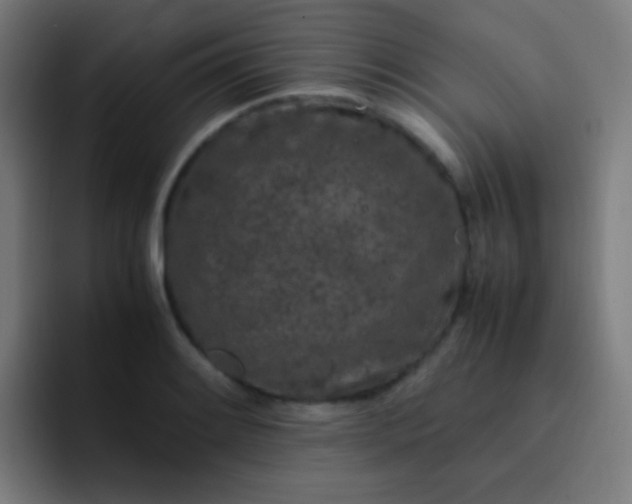 X0000093231084200710101359