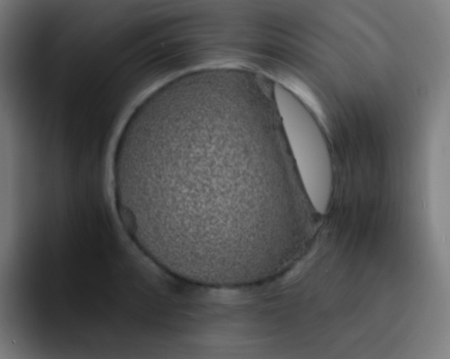 X0000093231088200710101359