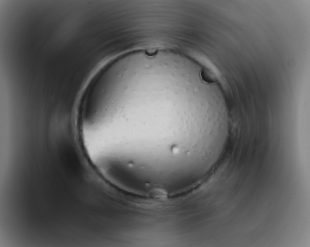 X0000093231091200710101359