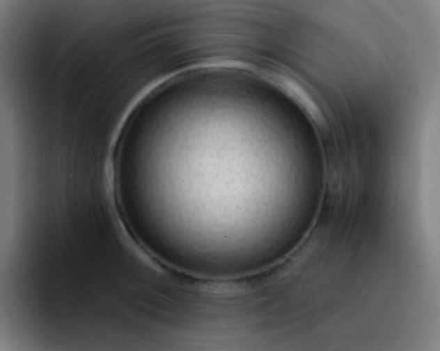 X0000093231092200710101359